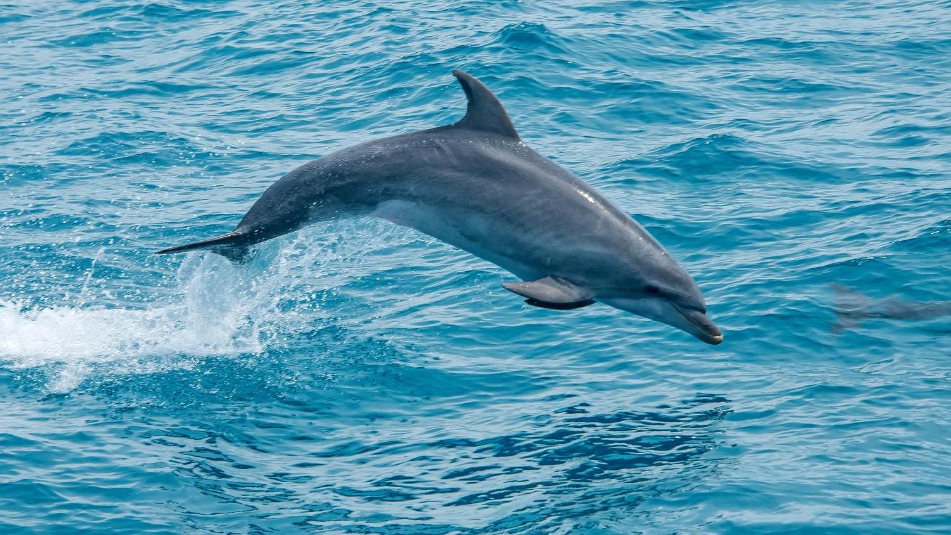 Pousada Vista Pro Mar Ilhabela Εξωτερικό φωτογραφία